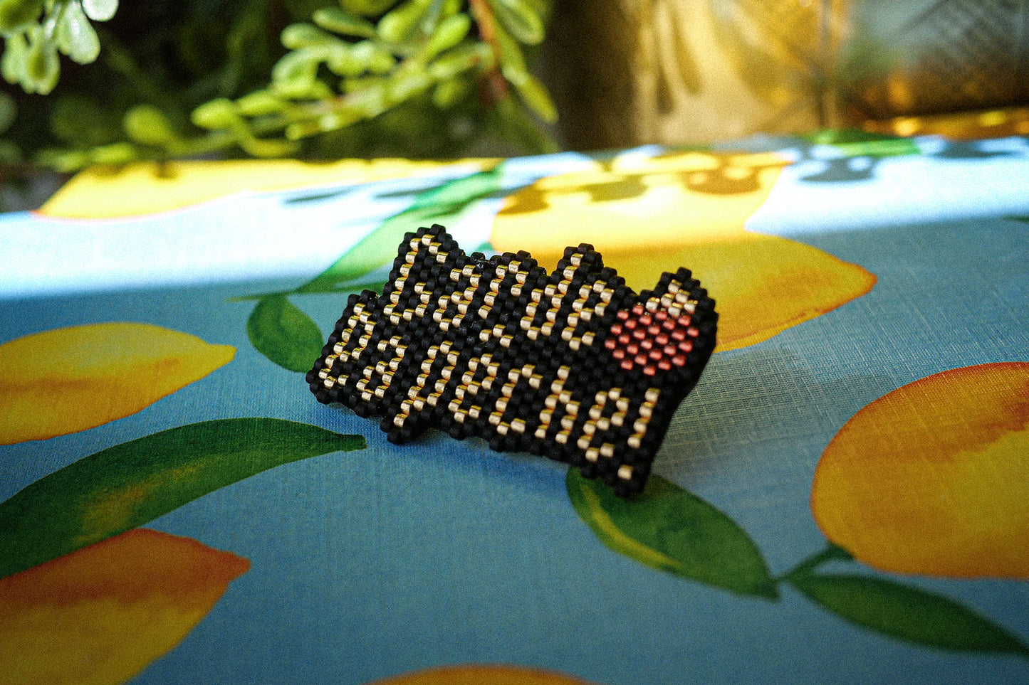 Broche Garde la Pêche